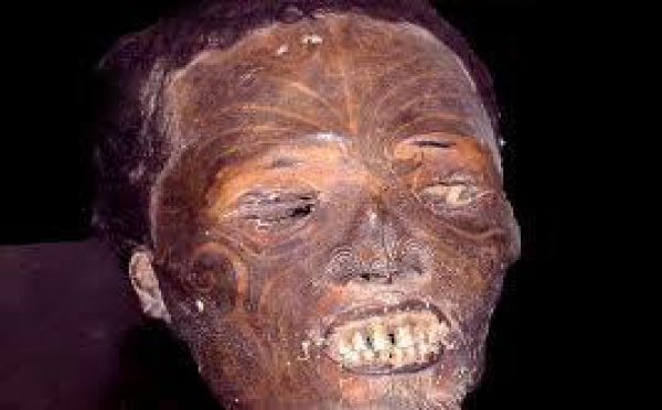 Les têtes maories, un casse-tête pour les musées de Nouvelle-Zélande