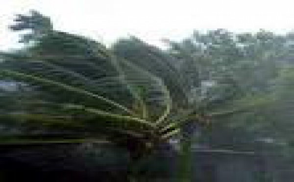 Secours aux sinistrés du cyclone Vania : l’UNICEF en pointe