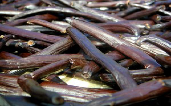 Salon de l'agriculture: La Vanille de Tahiti obtient 3 médailles d’Or!