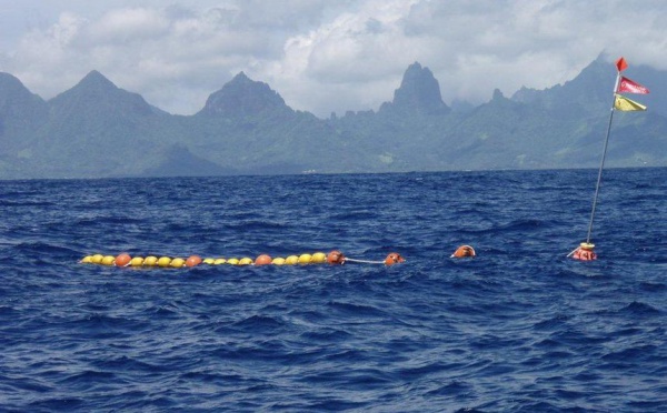 Mouillage de Dispositifs de Concentrations de Poissons aux Tuamotu-est.