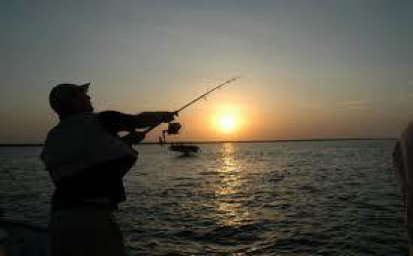 Surveillance de la pêche illicite en Océanie : Wellington veut une alliance de type « ANZUS »