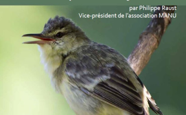 Les oiseaux de la Polynésie française présentés par Manu