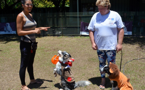 Éducation canine : les conseils de la championne de Polynésie