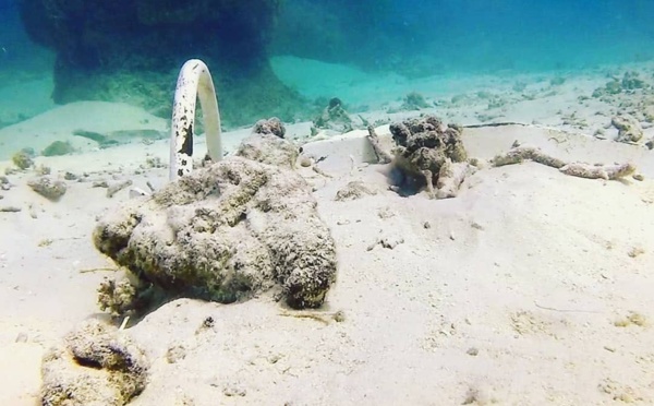 Les mouillages sauvages dénoncés à Huahine