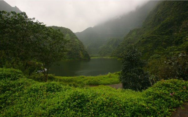 Carnet de voyage - La sanchezia à l’assaut de la Vaihiria !