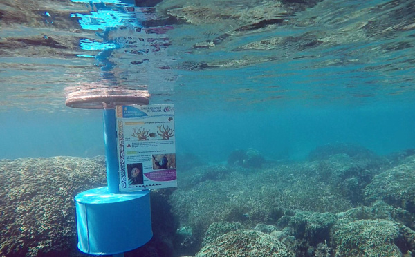 Partez à la découverte du lagon sur le sentier aquatique de Vaiava