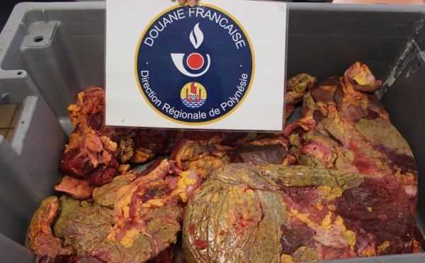 25 kg de viande de tortue saisies à la gare maritime