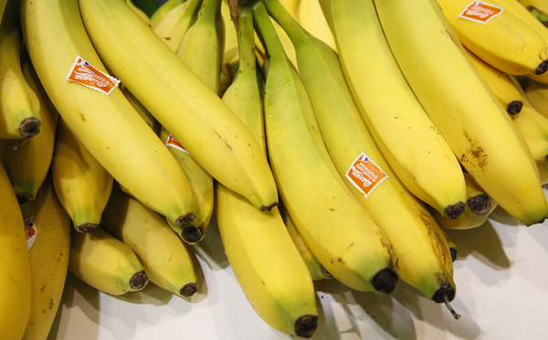 Pesticides: L'Assemblée rejette une nouvelle hausse des crédits du plan chlordécone