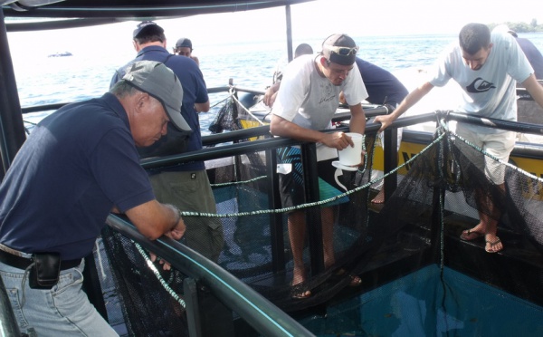 Dernière ligne droite pour le Centre Technique Aquacole « Vaia »