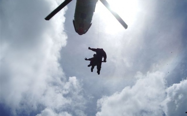 1500 pieds de paka découverts à Raiatea