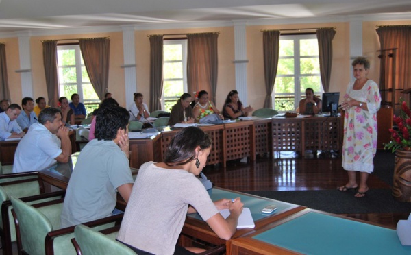 Séminaire Ville de Pirae: « Insertion économique des publics les plus éloignés de l’emploi »
