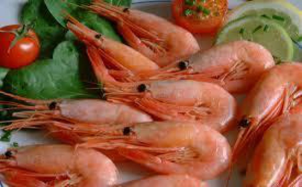 Les journées « crevetticulture 2011 »