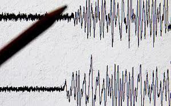 Séisme au Japon: nouvelle réplique de magnitude 6,4 à l'est de Tokyo