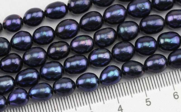Un label pour les Perles de Tahiti : meilleure défense contre la contrefaçon chinoise