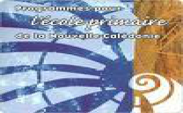 Nouvelle-Calédonie: la CGC s'alarme des retards de l'école primaire