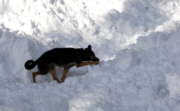 Savoie: un enfant sauvé après avoir été enseveli par une avalanche