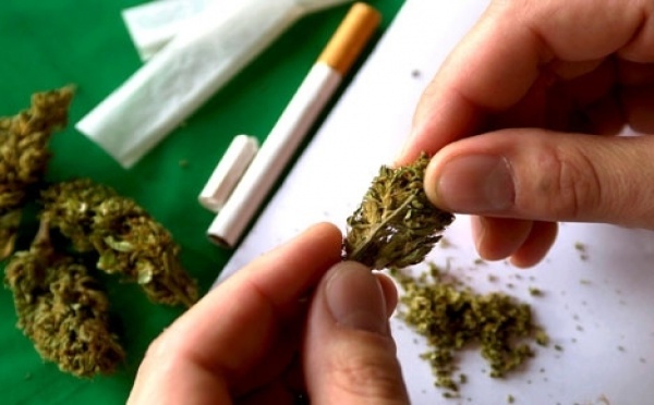 Lutte contre le cannabis : fouilles surprises aux abords des établissements scolaires