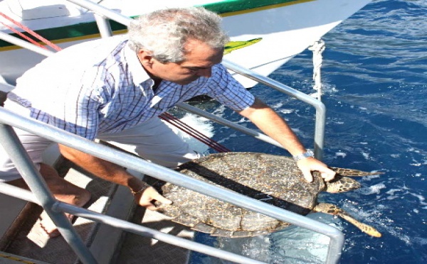 Le Haut‐Commissaire au chevet des tortues marines de Moorea