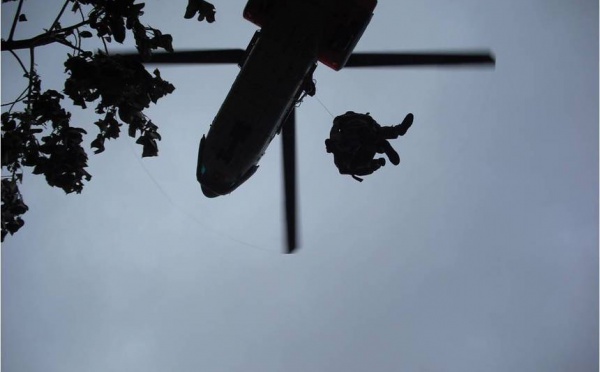 Destruction de 1 500 pieds de paka aux Australes