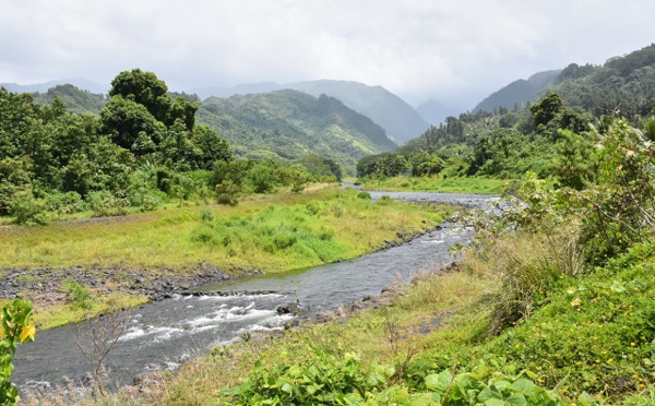 Taharu’u : les travaux vont reprendre