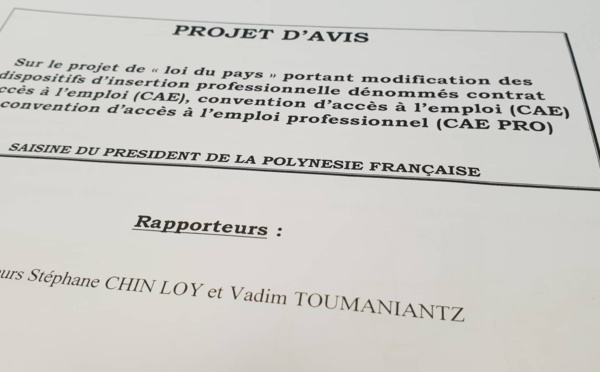 La nouvelle mouture de la Convention d'accès à l'emploi votée au CESC