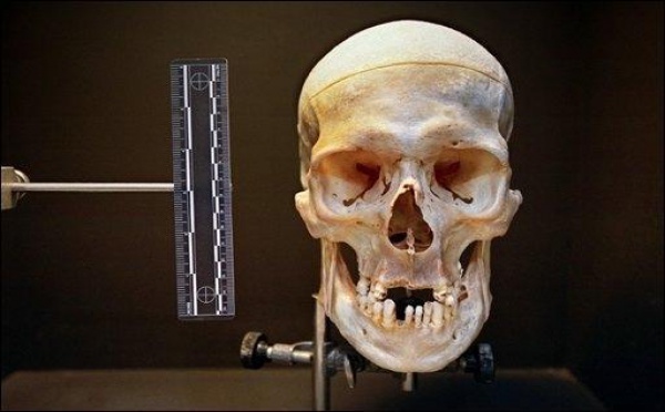 Un crâne humain retrouvé par des promeneurs à Moorea
