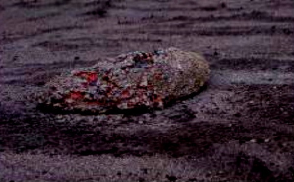 Activité du volcan de Tanna : Vanuatu en alerte