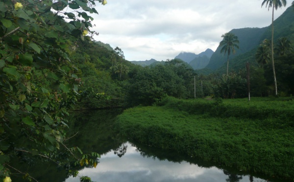 Projet hydroélectrique « Vaiiha »: riverains et  investisseurs se seraient mis d'accord