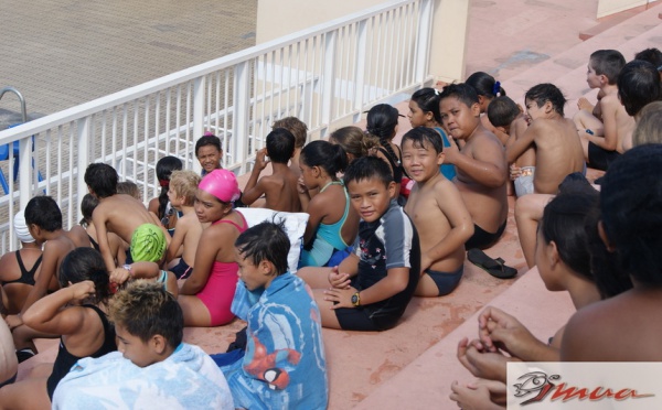 L’ASSEP et I MUA associés pour le Dolphin Challenge