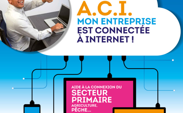 Internet : Une aide allant jusqu'à 200 000 francs pour connecter les entreprises