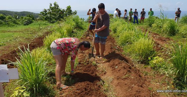 "Ea Mahina", un concept qui fait son bout de chemin au lycée professionnel de Mahina