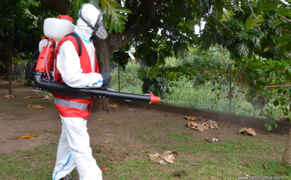 Un cas de dengue 2 à Mahina