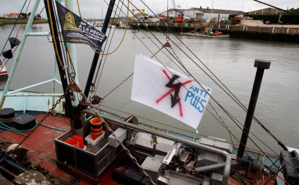 La France va anticiper l'interdiction de la pêche électrique dans ses eaux territoriales