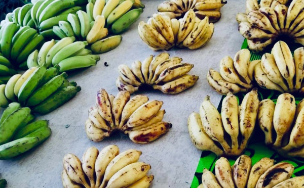 Un nouveau point de vente de fruits et légumes locaux à Papeete