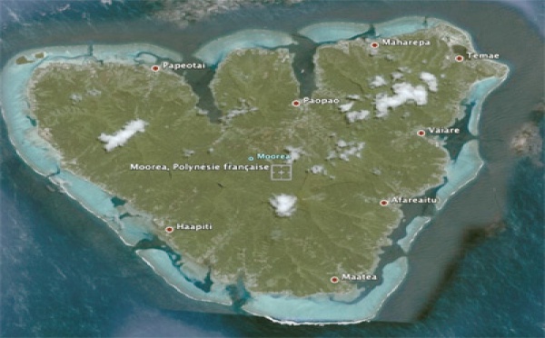 Dialogue fiscal positif entre la commune et les entreprises de Moorea