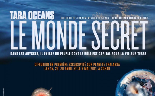 Tara-Océans: profession, chercheur-plongeur