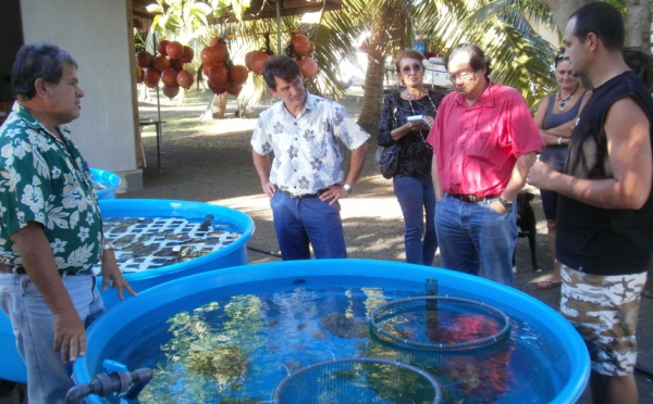 Le ministre du Développement des Archipels en déplacement à Papara