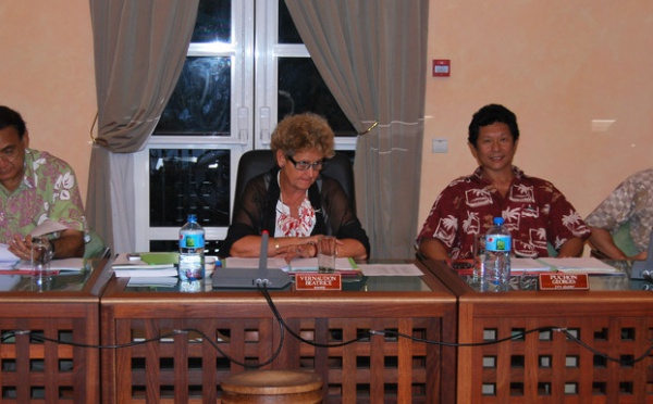 Compte-rendu du conseil municipal de la Ville de Pirae