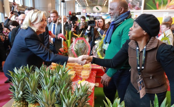 Européennes: la tête de liste RN se rend en Guyane, Martinique et Guadeloupe