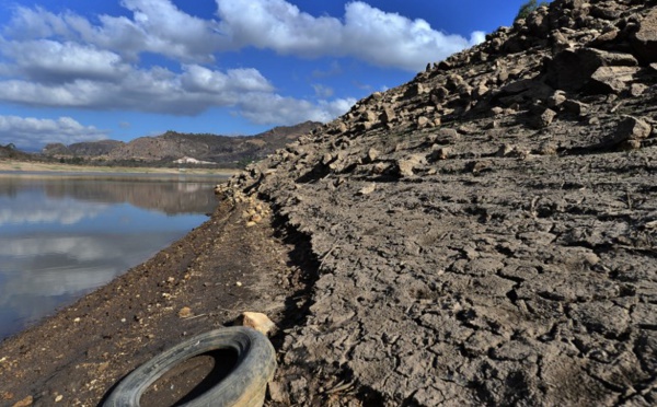 La sécheresse frappe l'Amérique centrale menacée par El Niño