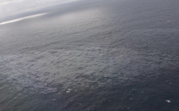 Grande America: un premier conteneur acheminé à La Rochelle: 6 tonnes de chips