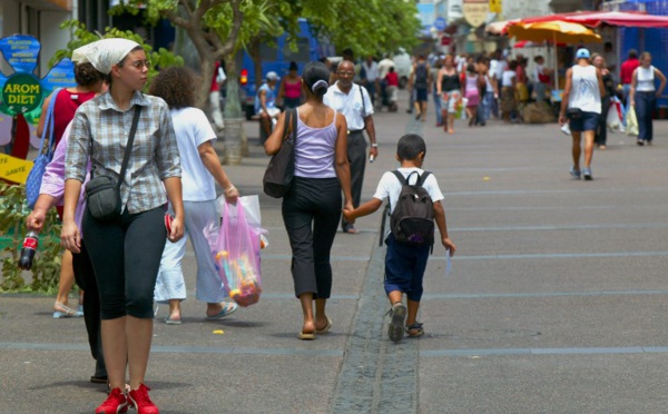 Maltraitance animale à La Réunion: entre mythe et réalité