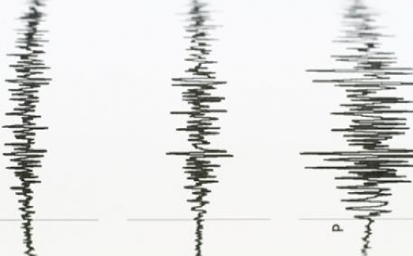 Pérou: séisme de magnitude 7 dans l'est amazonien, pas de victimes