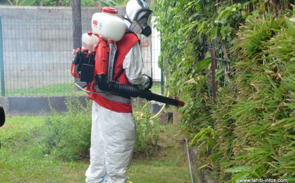 ​Dengue de type 2 : des foyers suspects à Mahina, Faa’a et Papara