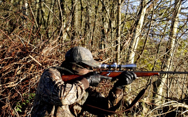 Chasse: le Sénat crée un délit d'entrave et renforce la sécurité