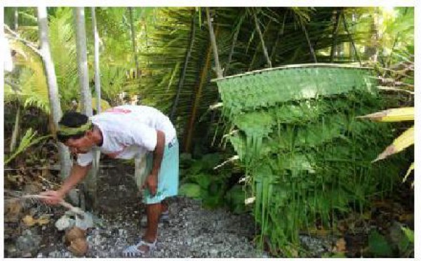 Air Tahiti Toa Nui : un "Koh Lanta" à la sauce polynésienne sur TNTV