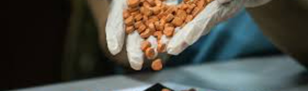 "Breaking Bad" au Japon: la fabrication d'ecstasy au programme à la fac