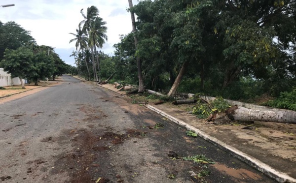 Cyclone au Mozambique: un mort et de nombreux dégâts, selon un premier bilan