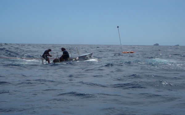 Les Marquises font le plein de « DCP »