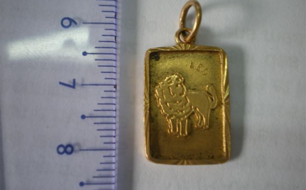 Le jardinier cambriolait les maisons de ses employeurs